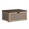Garten-Aufbewahrungsbox 120 x 60 x 60 cm Kunststoff Braun mit Klappdeckel