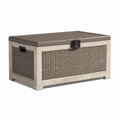Aufbewahrungstruhe 120 x 55 x 60 cm Kunststoff Taupe Beige für Garten wetterbeständig
